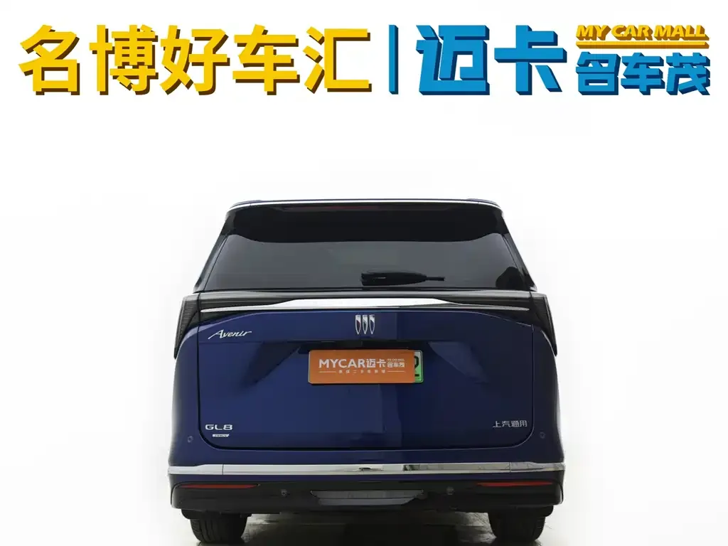 Buick GL8 Hybrid — фото 10