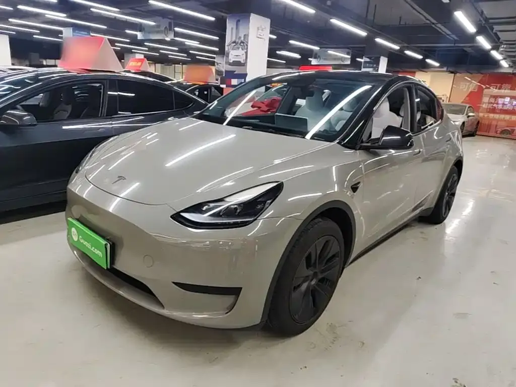 Tesla Model Y — фото 1