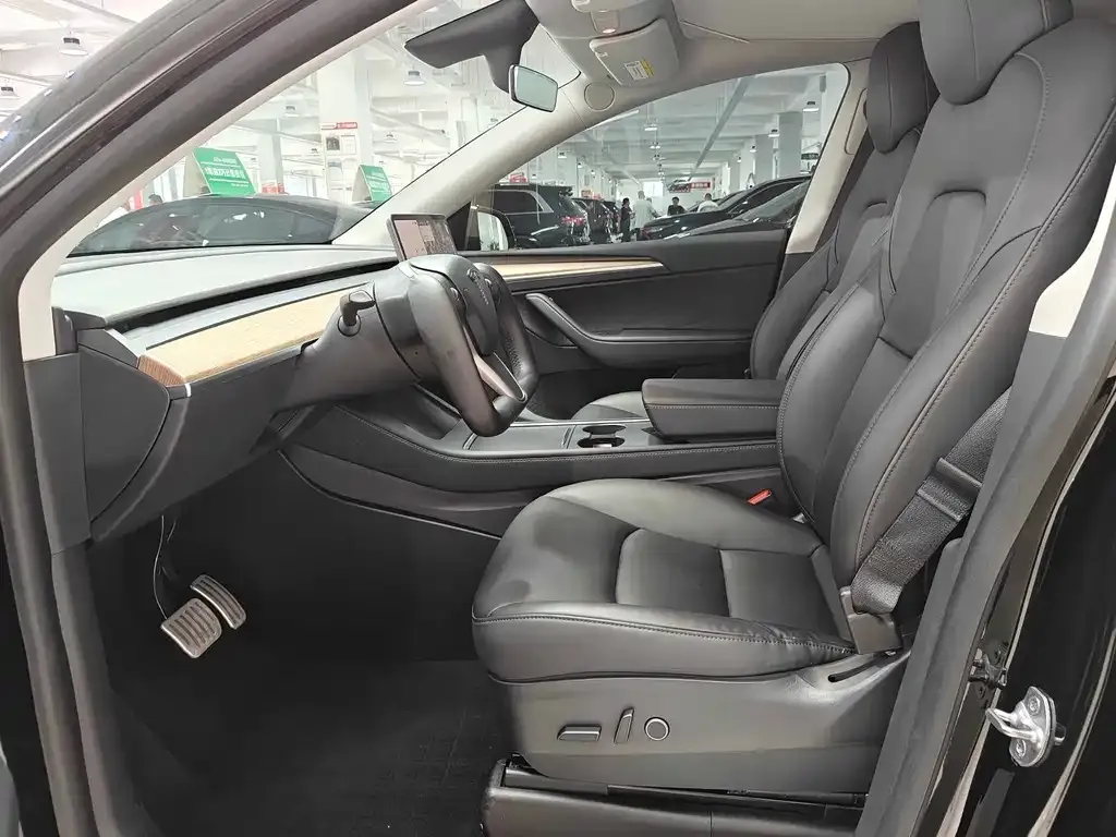Tesla Model Y — фото 10