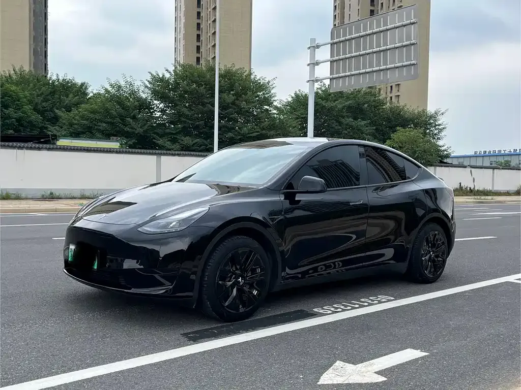 Tesla Model Y — фото 2
