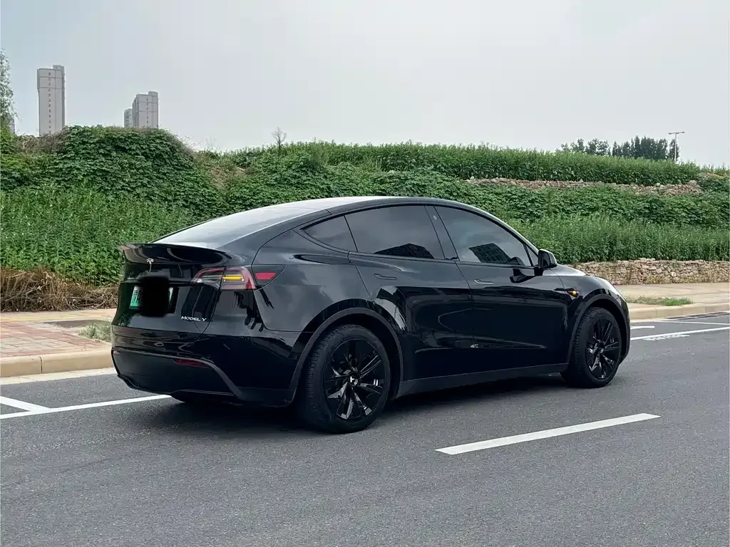 Tesla Model Y — фото 9