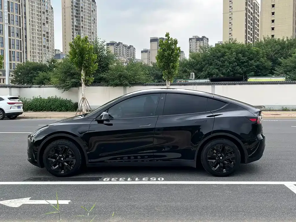 Tesla Model Y — фото 10