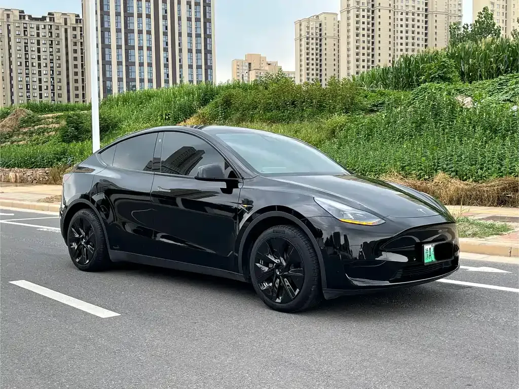 Tesla Model Y — фото 7