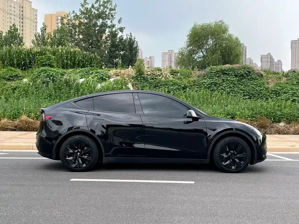 Tesla Model Y — фото 8