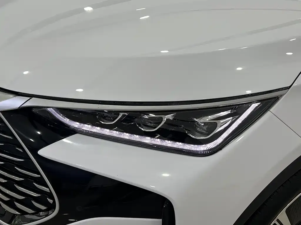 BYD Tang New Energy — фото 10