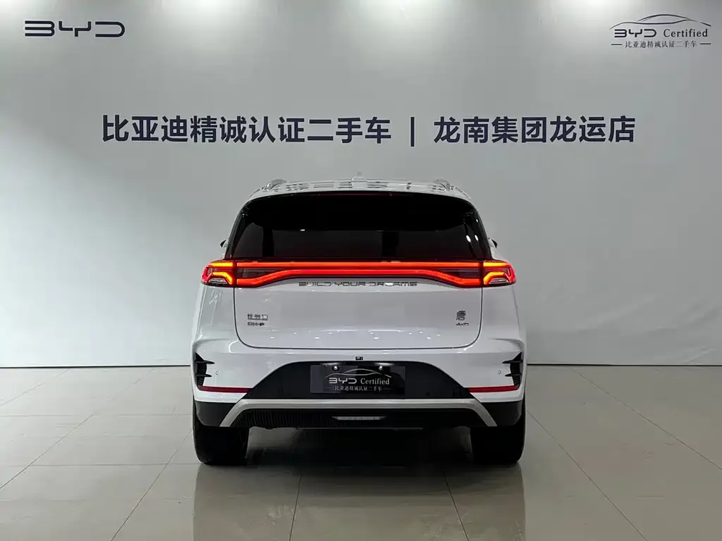 BYD Tang New Energy — фото 2