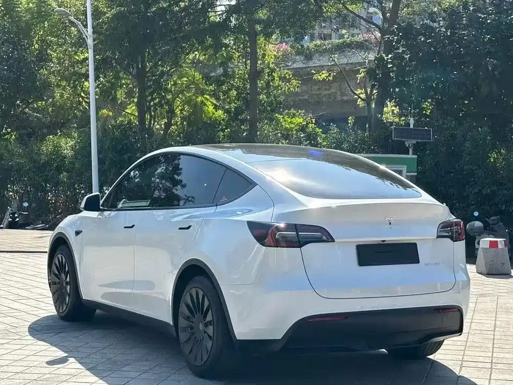 Tesla Model Y — фото 3