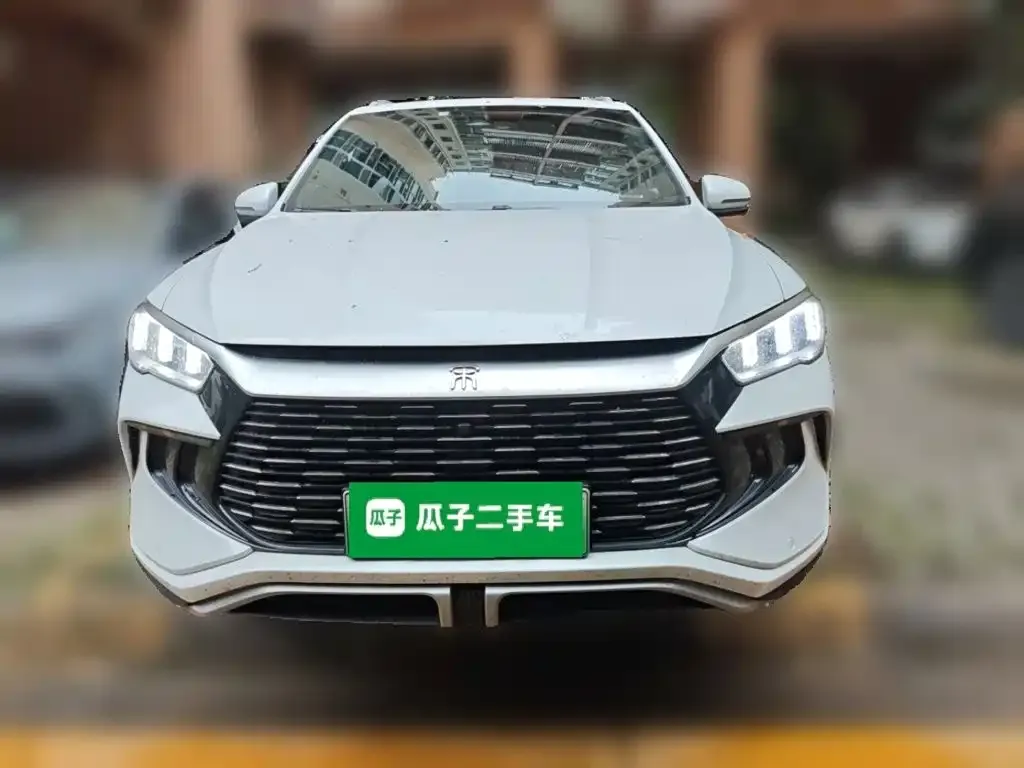 BYD Pro New Energy — фото 2