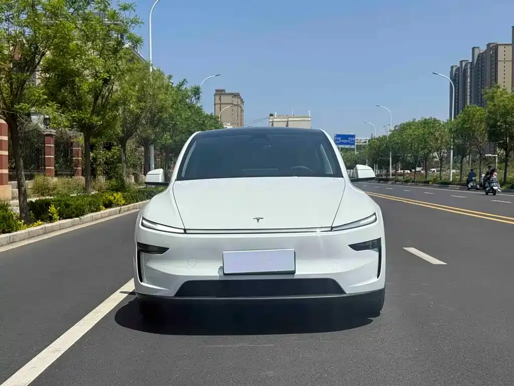 Tesla Model Y — фото 4