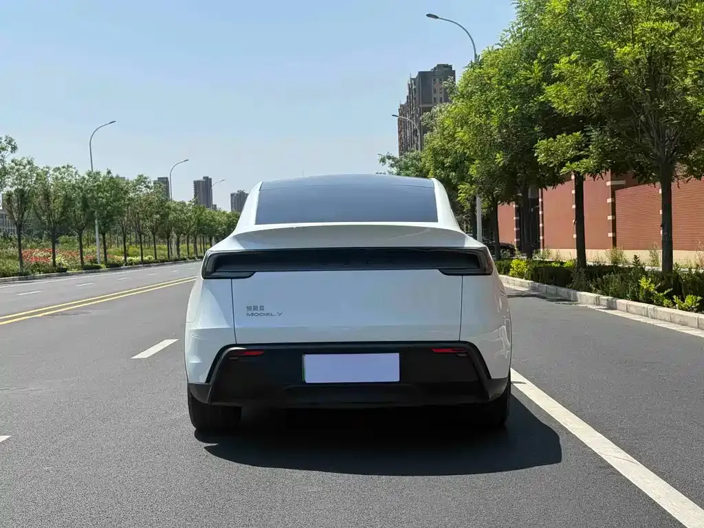 Tesla Model Y — фото 3