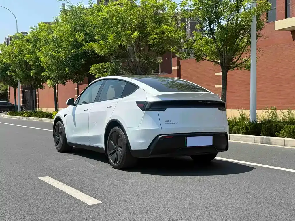 Tesla Model Y — фото 6