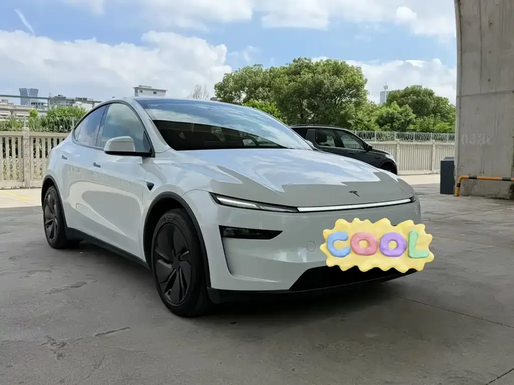 Tesla Model Y — фото 10