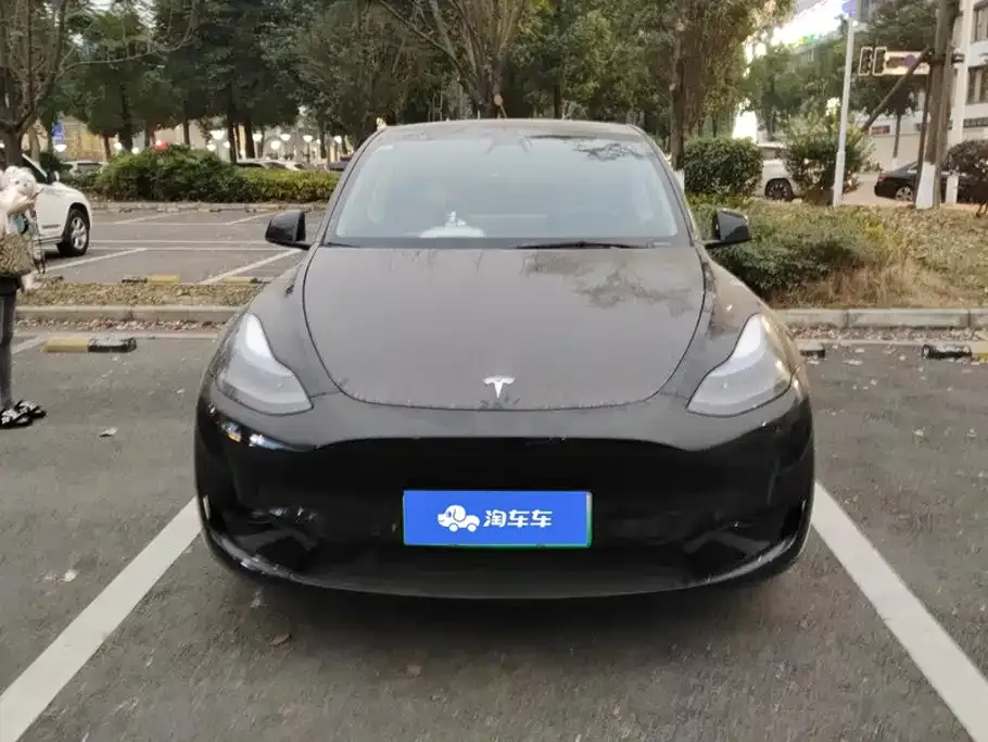 Tesla Model Y — фото 9