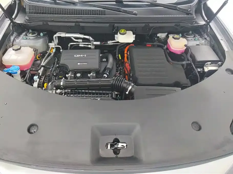 BYD Pro New Energy — фото 10