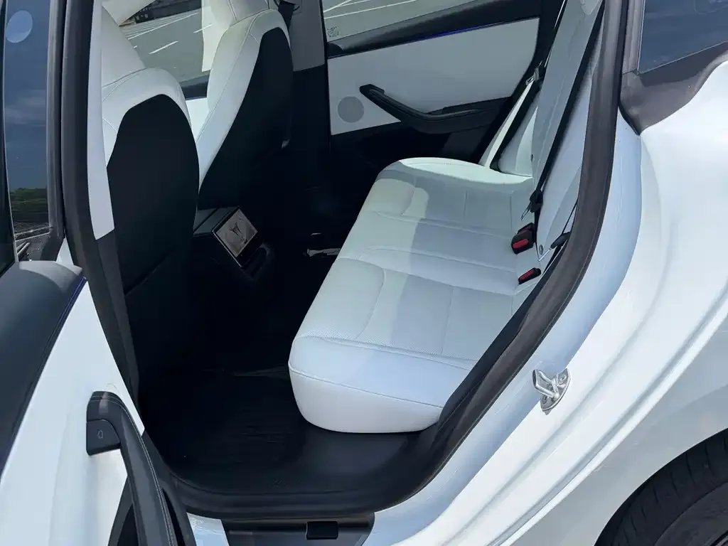 Tesla Model 3 — фото 2