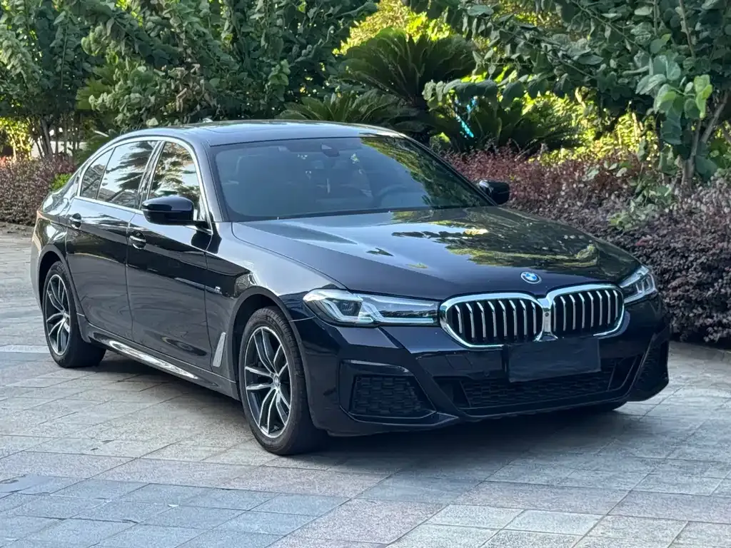 BMW 5 Series — фото 1