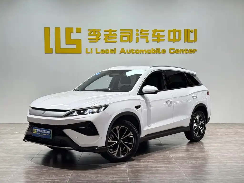 BYD Pro New Energy — фото 1