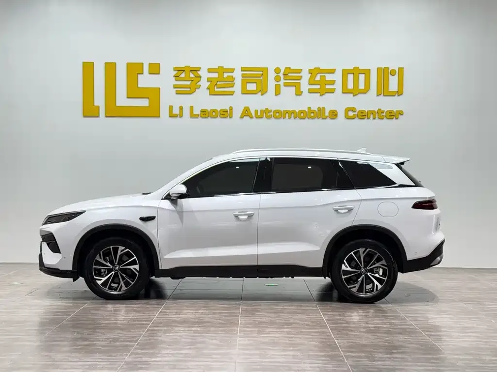 BYD Pro New Energy — фото 8