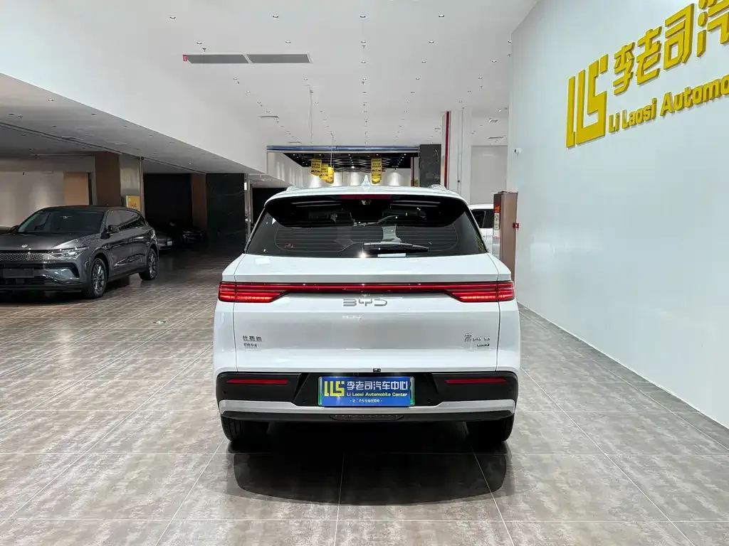 BYD Pro New Energy — фото 9