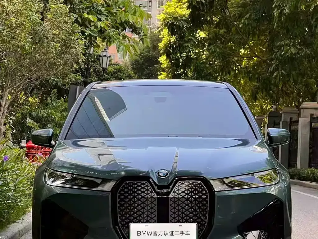 BMW iX — фото 10
