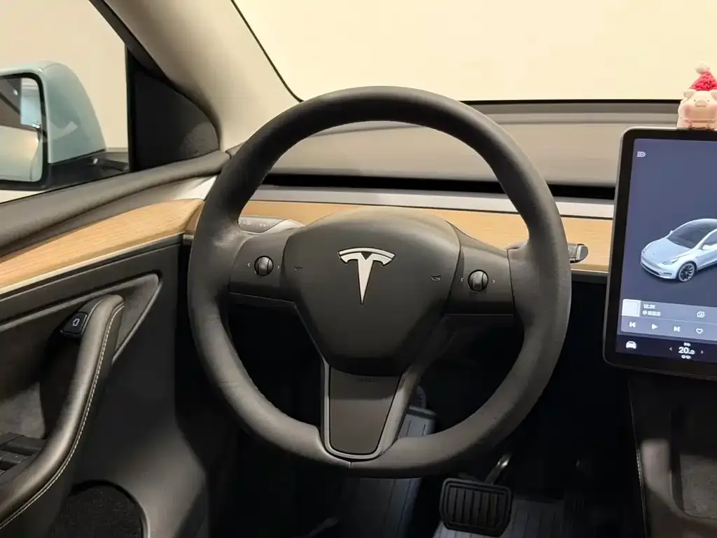 Tesla Model Y — фото 6