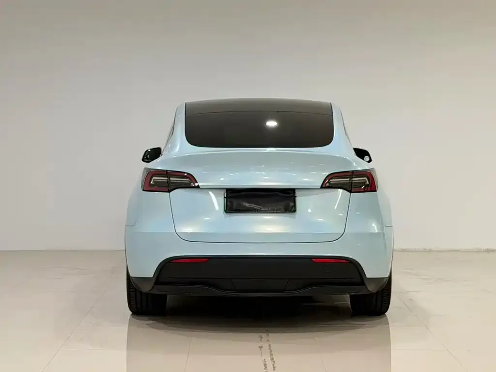 Tesla Model Y — фото 8