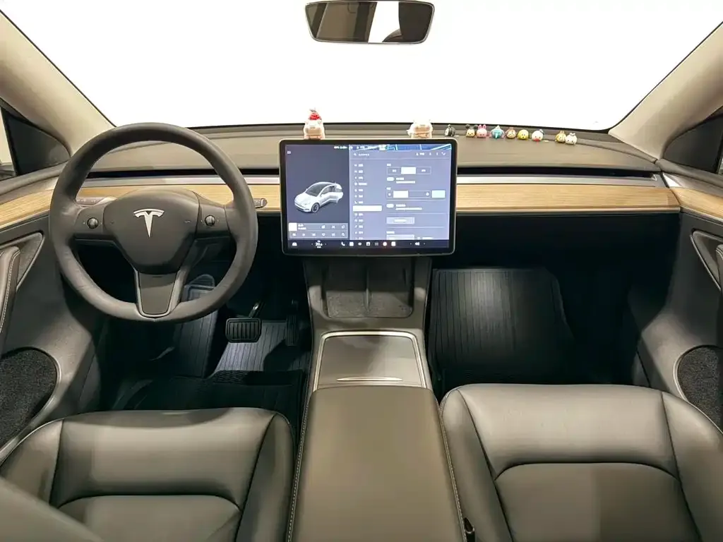 Tesla Model Y — фото 2
