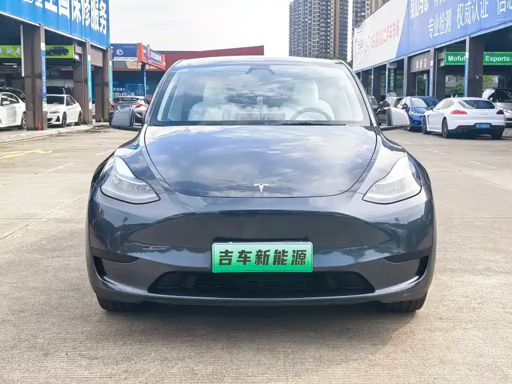 Tesla Model Y — фото 6