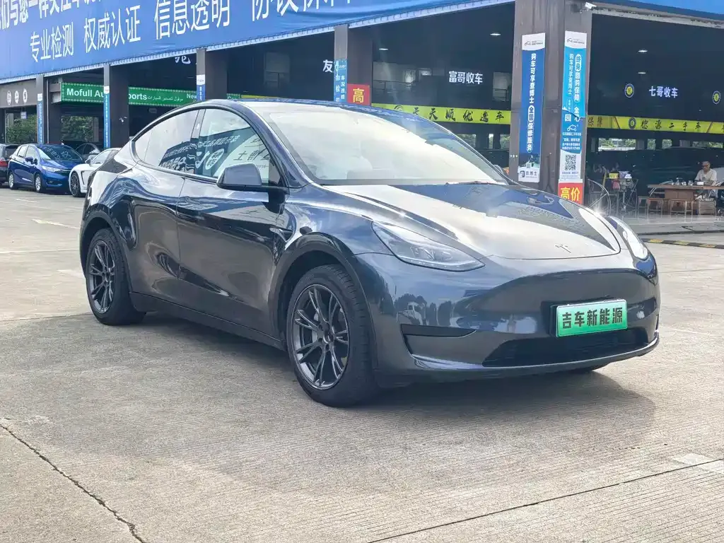 Tesla Model Y — фото 10