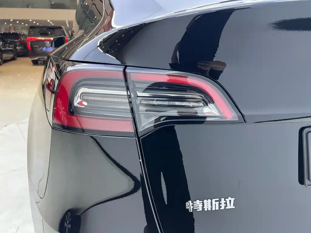 Tesla Model Y — фото 10