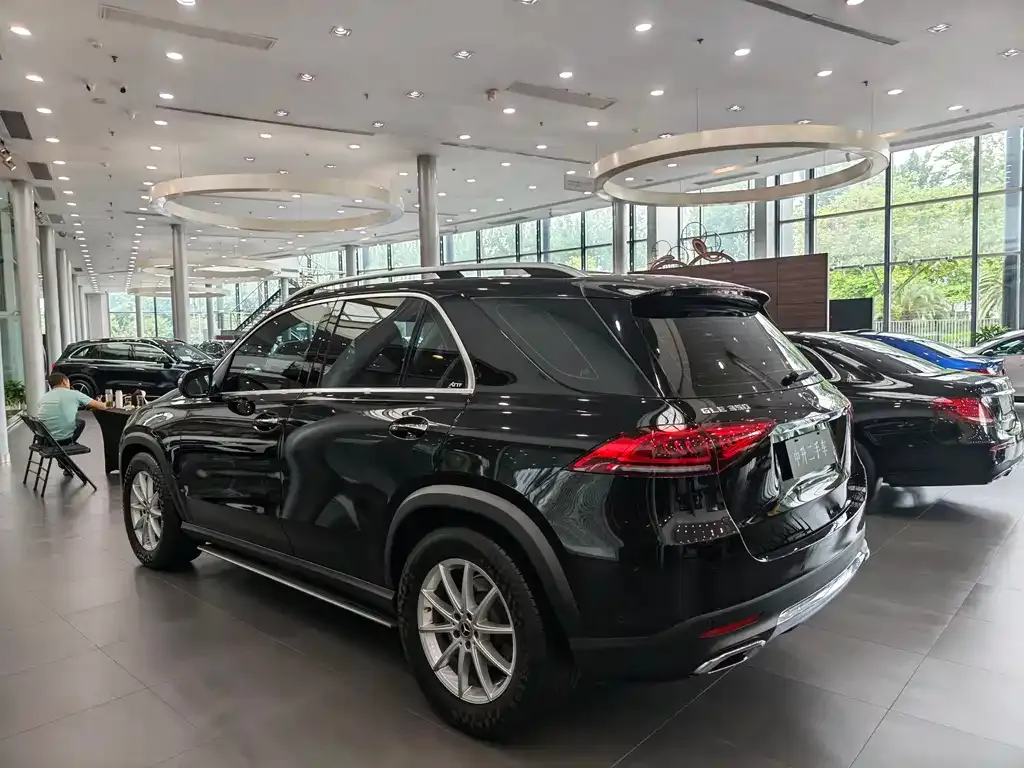 Mercedes-Benz 奔驰GLE(进口) — фото 6