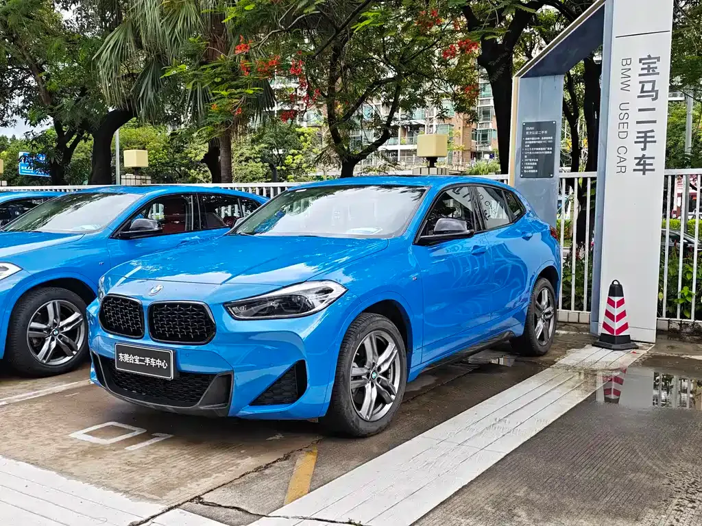 BMW X2