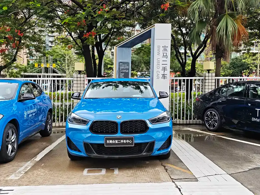 BMW X2 2023 из CN, фото 10