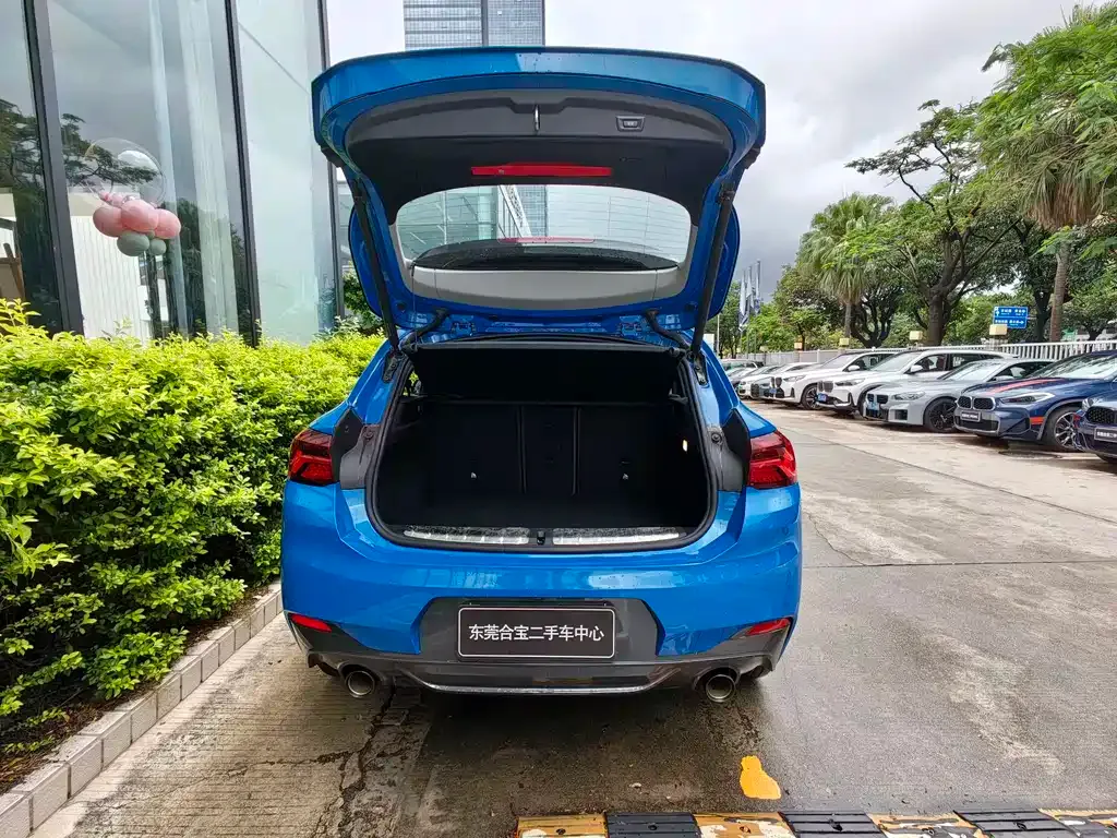 BMW X2 2023 из CN, фото 8