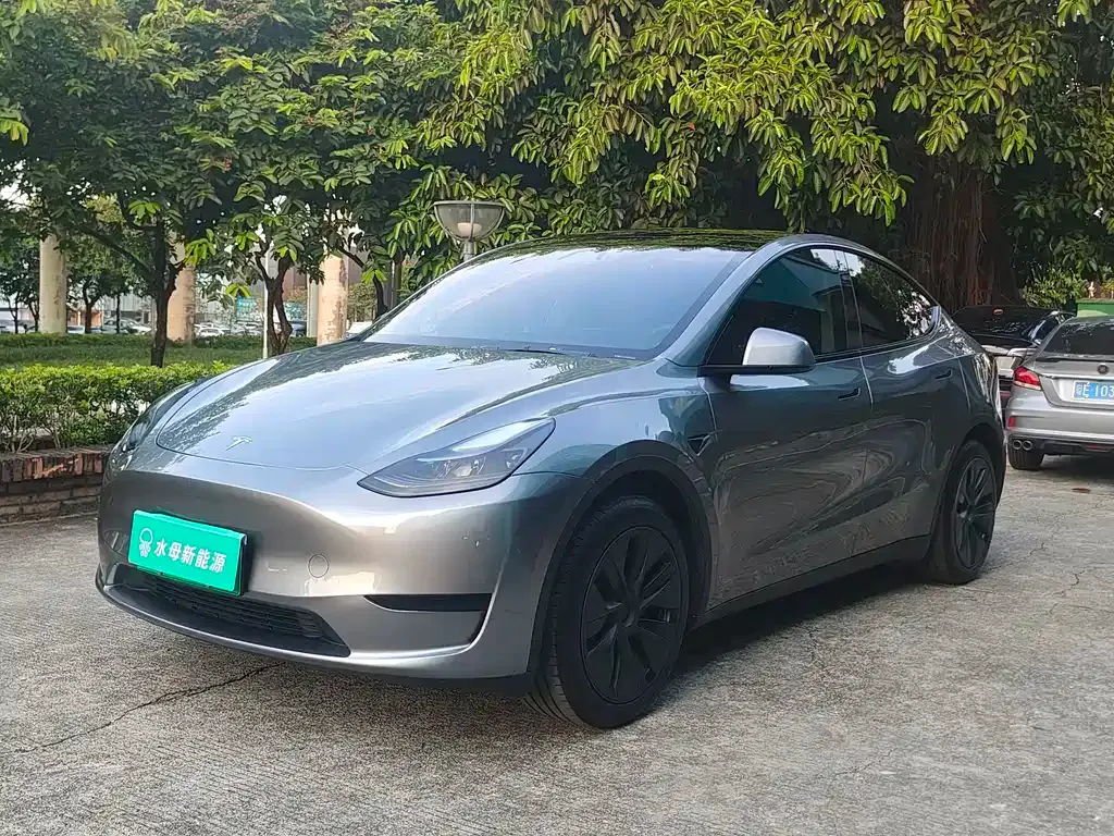 Tesla Model Y — фото 1
