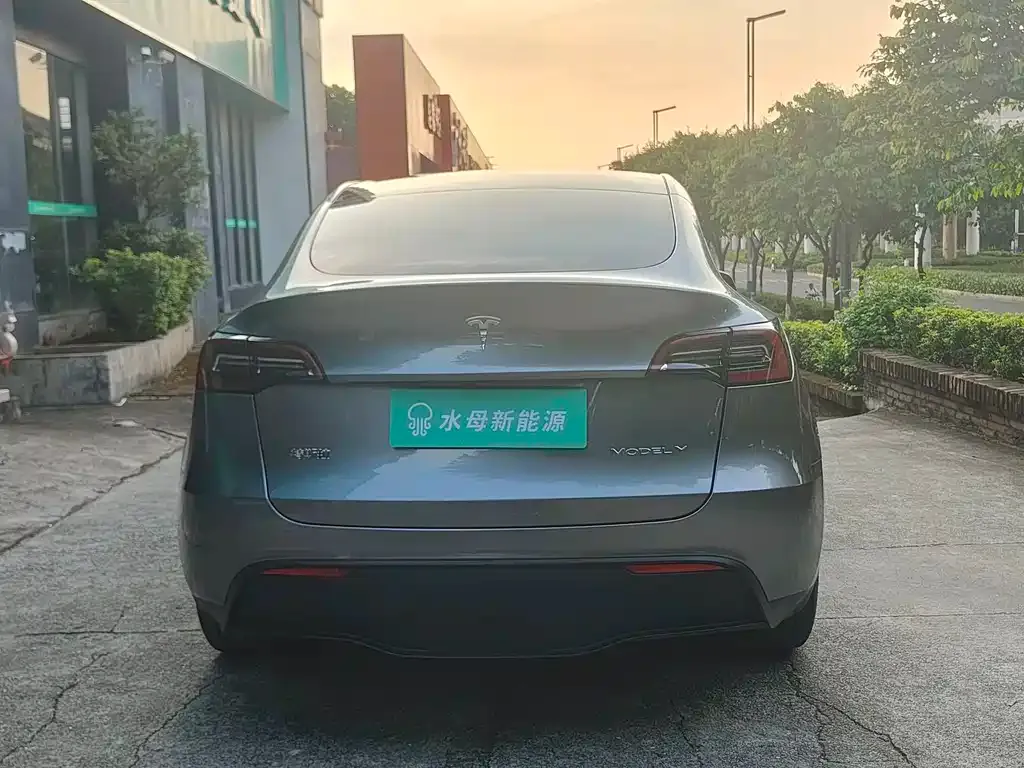 Tesla Model Y — фото 9