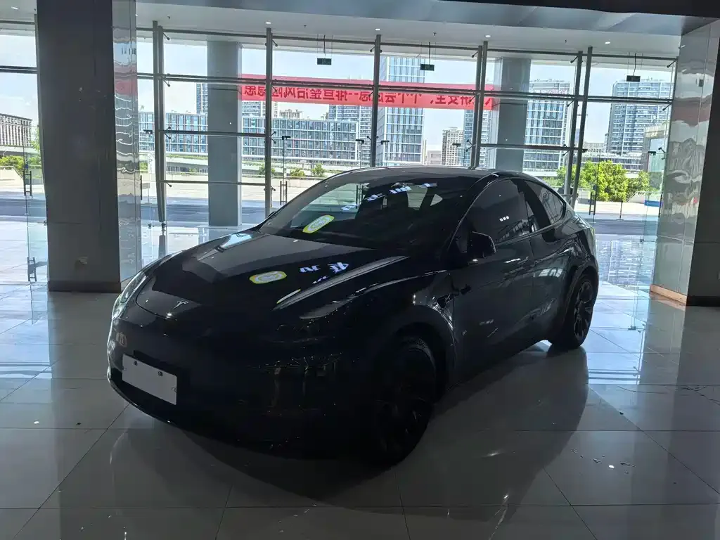 Tesla Model Y — фото 1