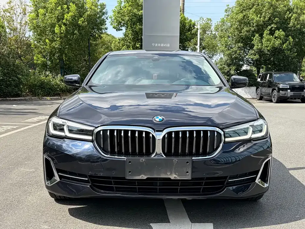 BMW 5 Series 2022 из CN, фото 8