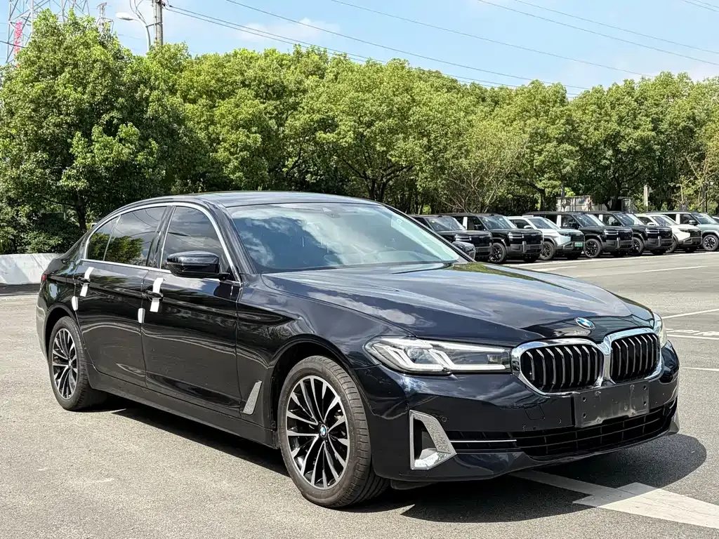 BMW 5 Series 2022 из CN, фото 10