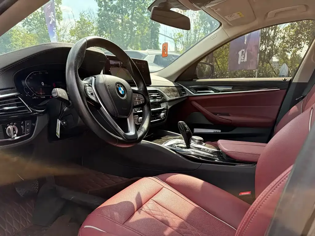 BMW 5 Series 2022 из CN, фото 4