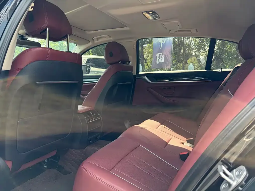 BMW 5 Series 2022 из CN, фото 5