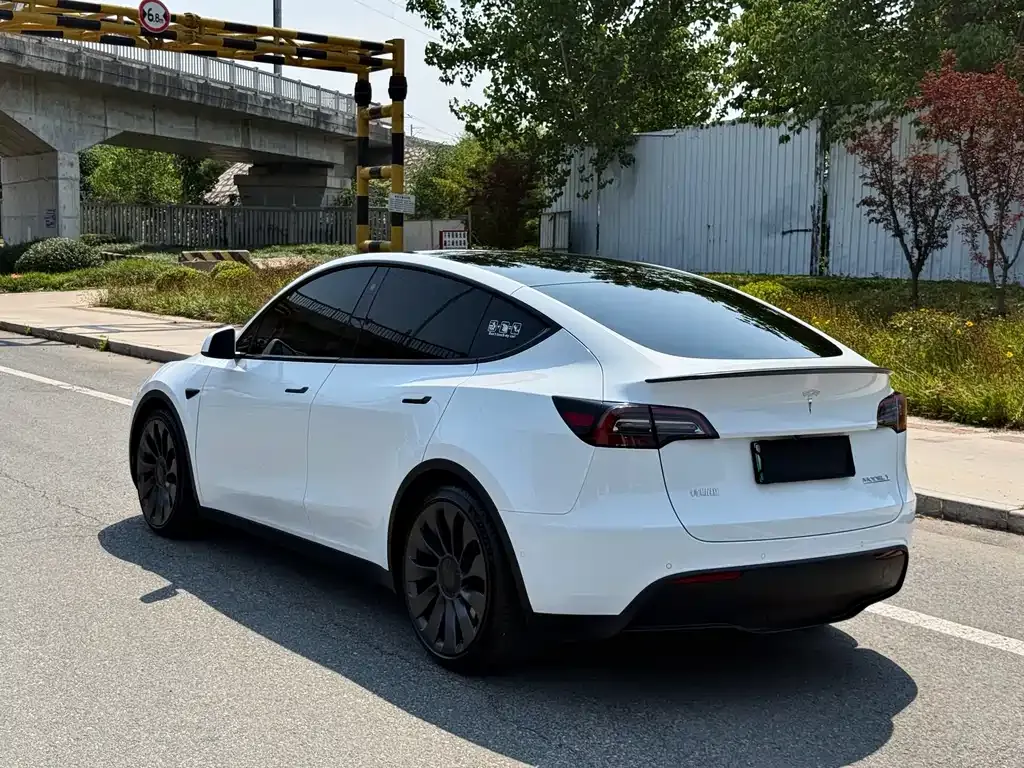 Tesla Model Y — фото 8