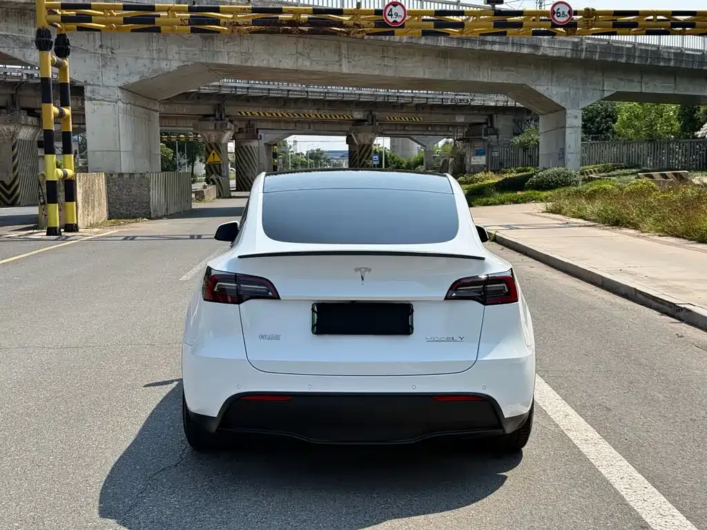 Tesla Model Y — фото 9