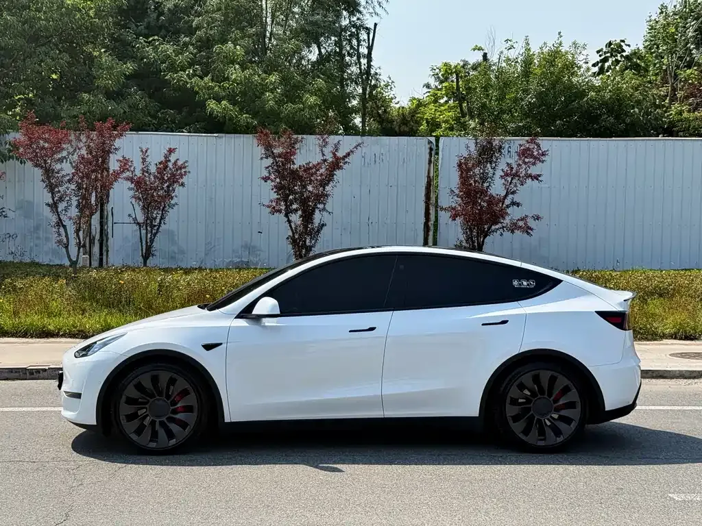 Tesla Model Y — фото 6