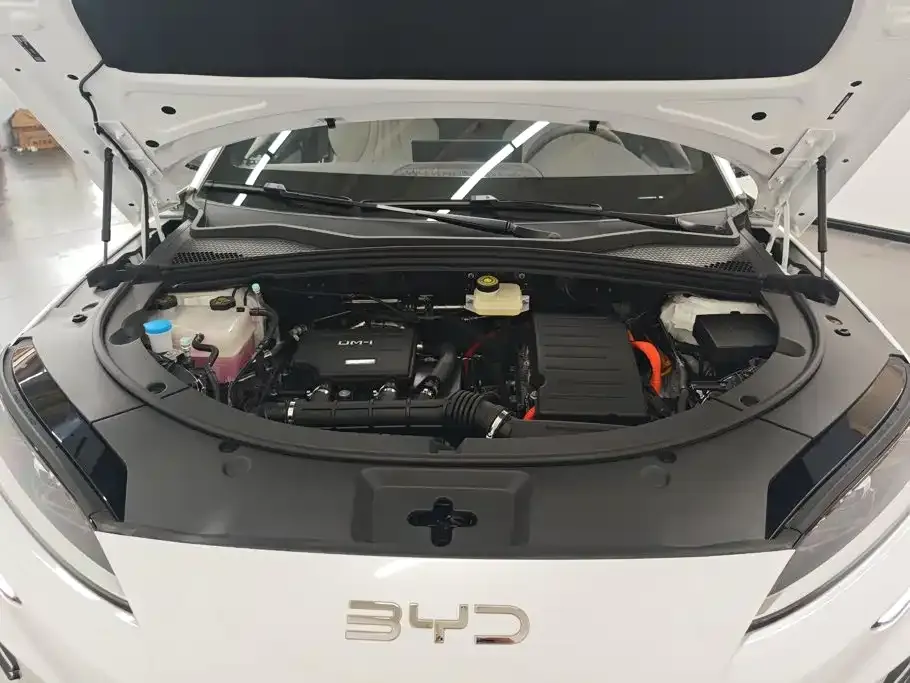 BYD PLUS New Energy — фото 9