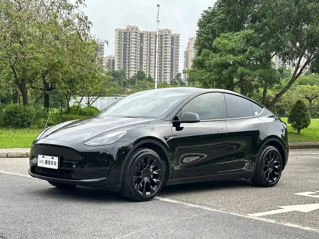 Tesla Model Y — фото 1
