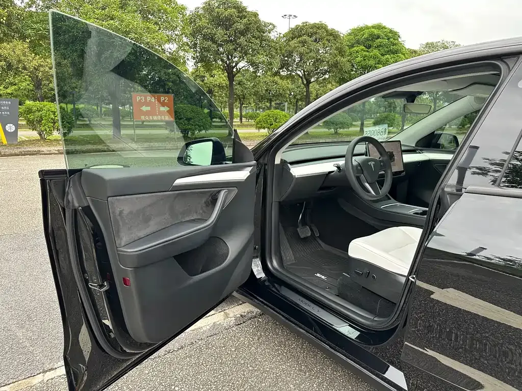 Tesla Model Y — фото 2