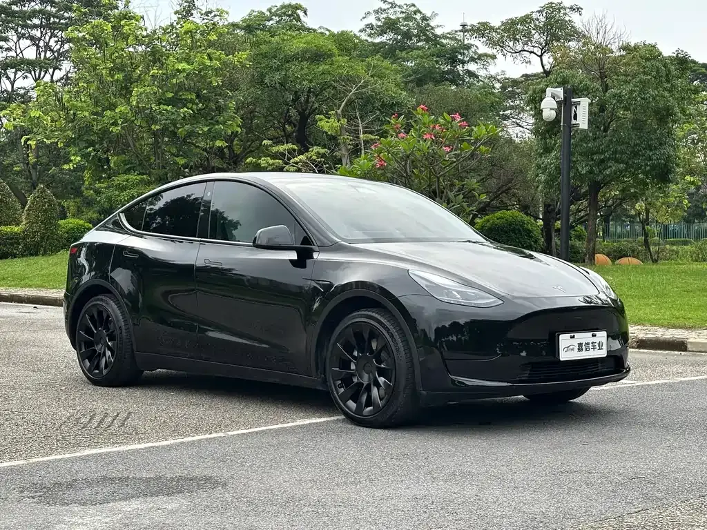 Tesla Model Y — фото 7