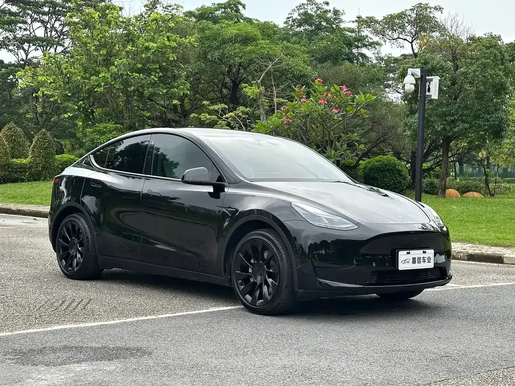 Tesla Model Y — фото 10