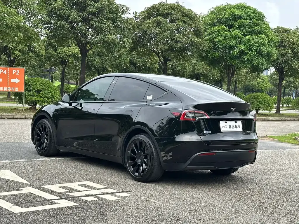 Tesla Model Y — фото 9